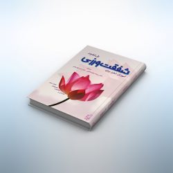 shafaqat shafaqat