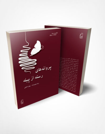 کتاب پروانههای رسته از پیله: نگاهی به روند توسعه در جهان